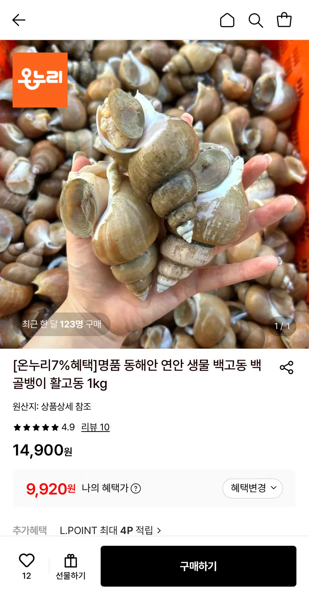 동해안 생물 백고동 1kg 55-65미