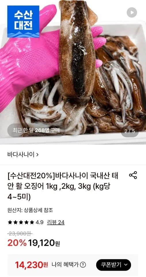 국내산 태안 활 오징어 1kg