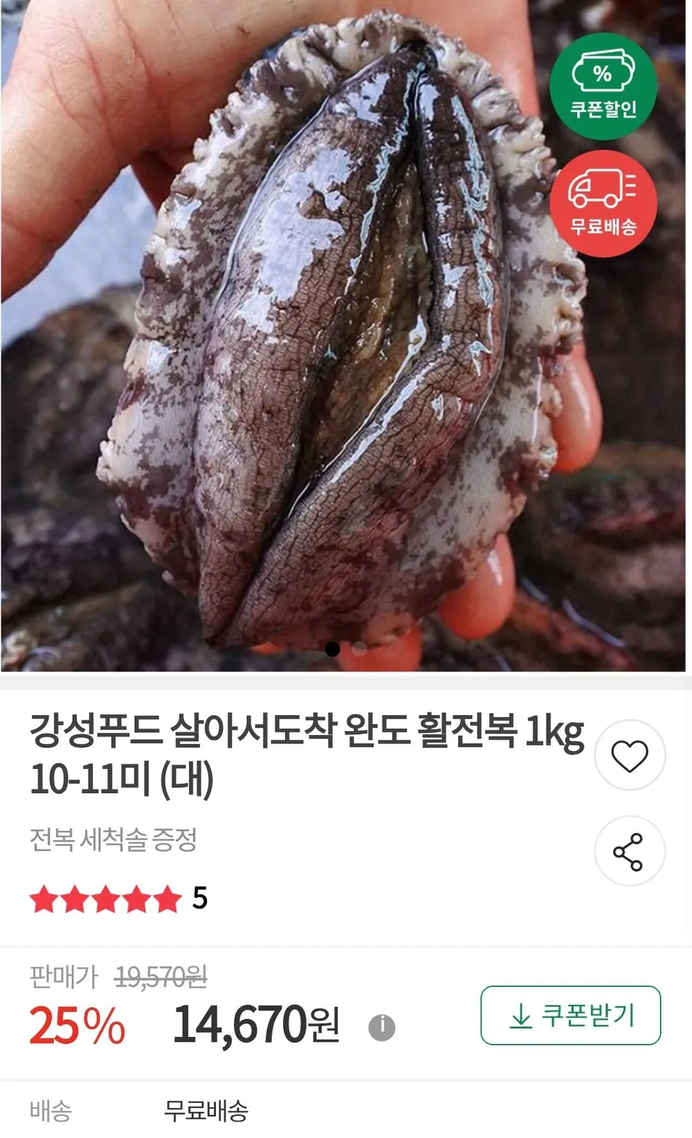 살아서도착 완도 활전복 1kg 10~11미