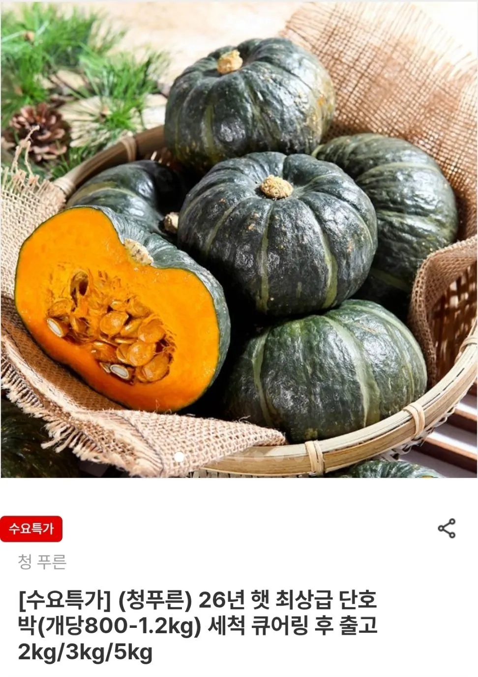 청푸른 26년 햇 단호박 2kg 2개입