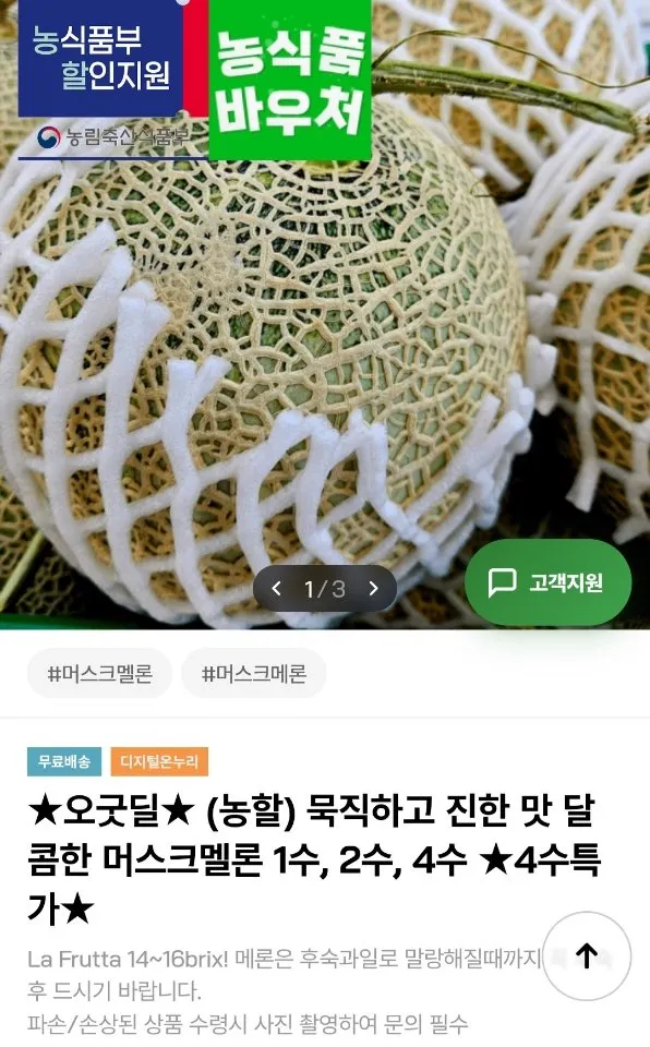 머스크멜론 4수