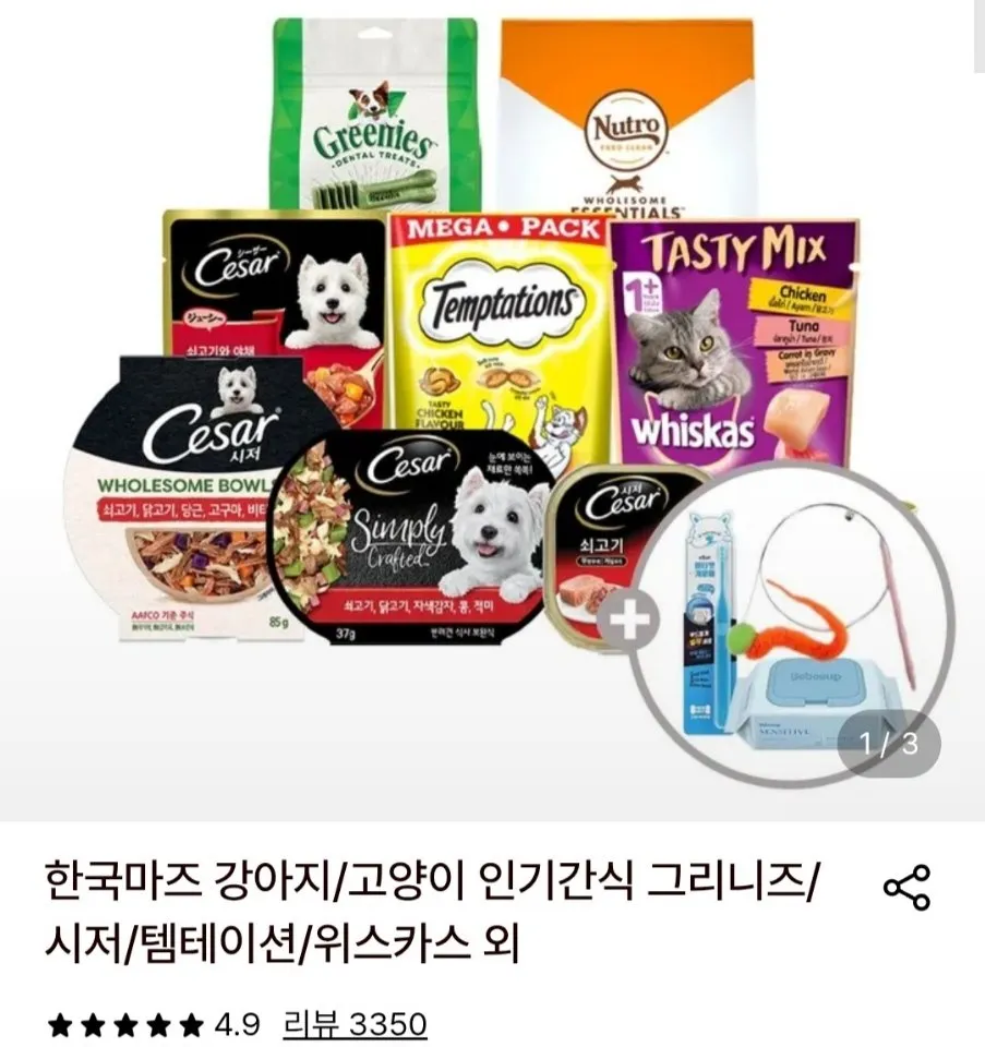 위스카스팩 파우치 24개 골라담기 +캣닢쿠션+베베숲물티슈1팩