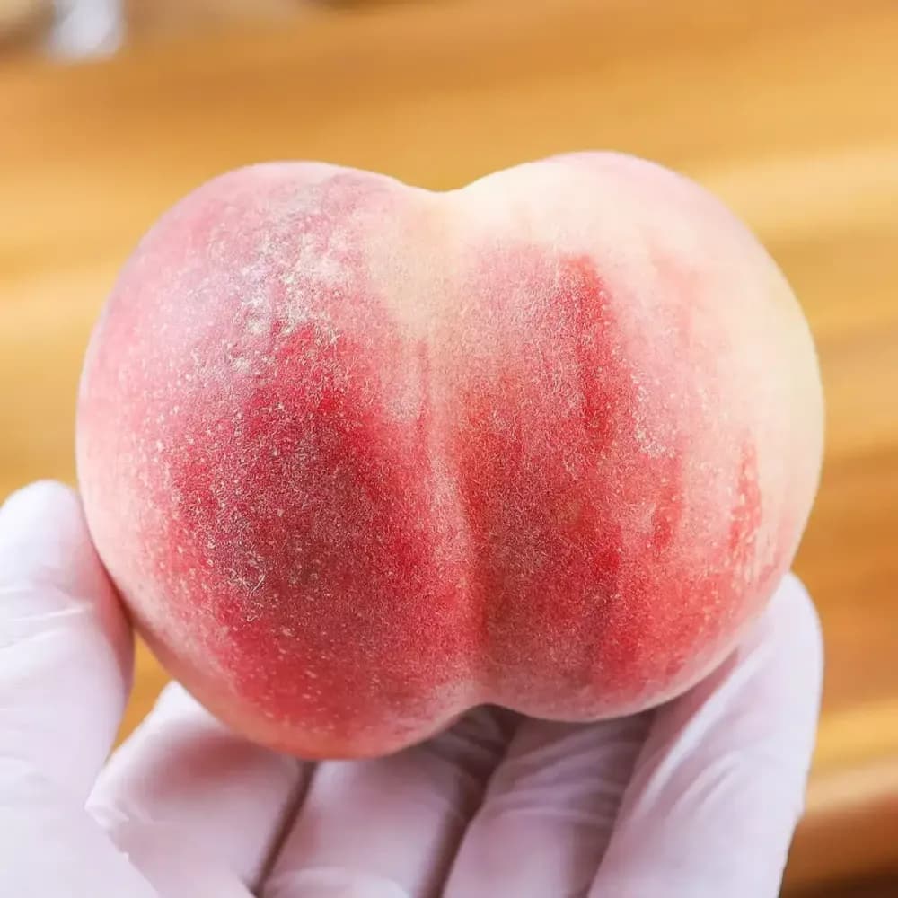 경산 대극천 반납작 복숭아 1kg