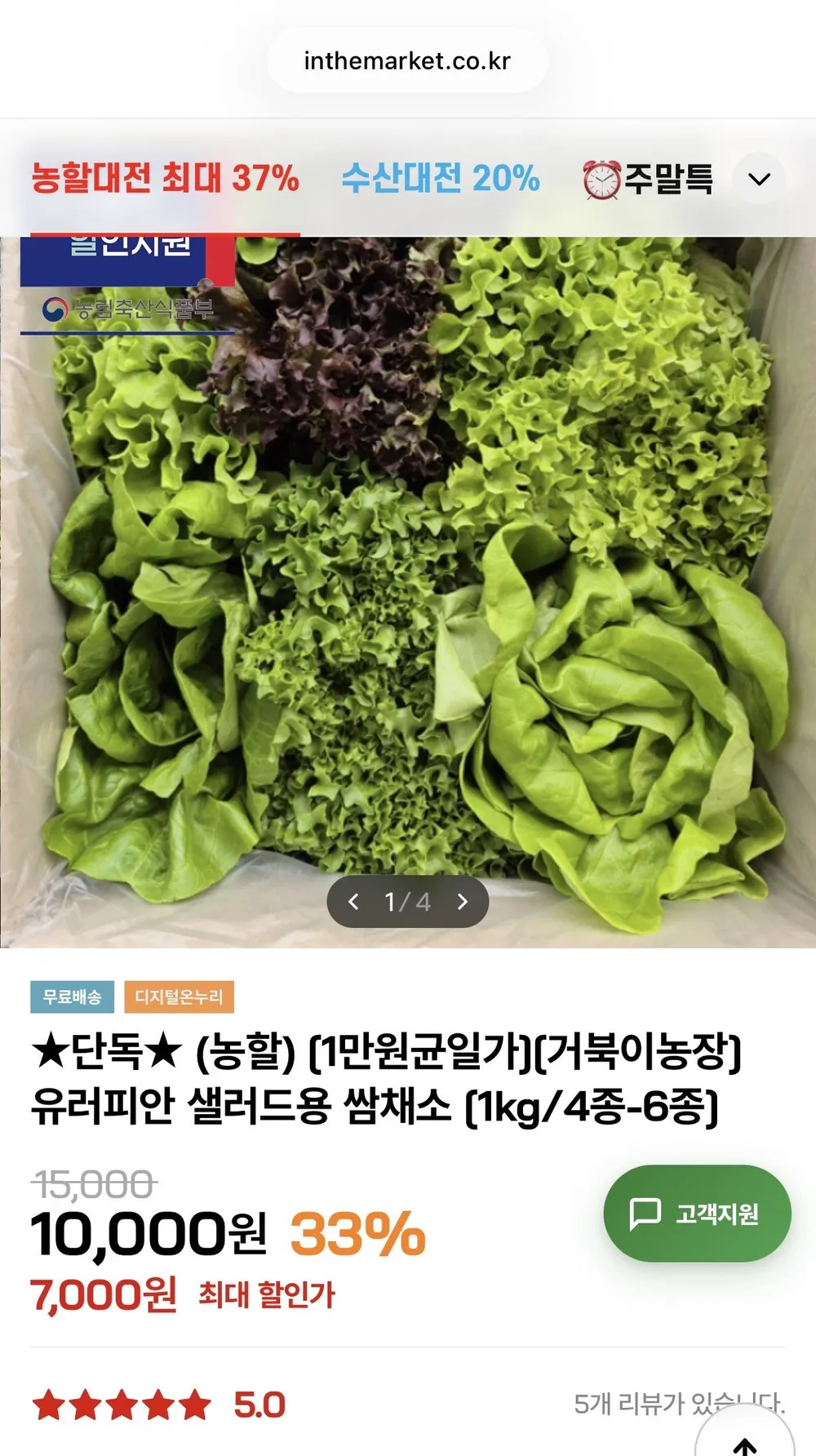 유러피안 샐러드용 쌈채소 [1kg/4종-6종]