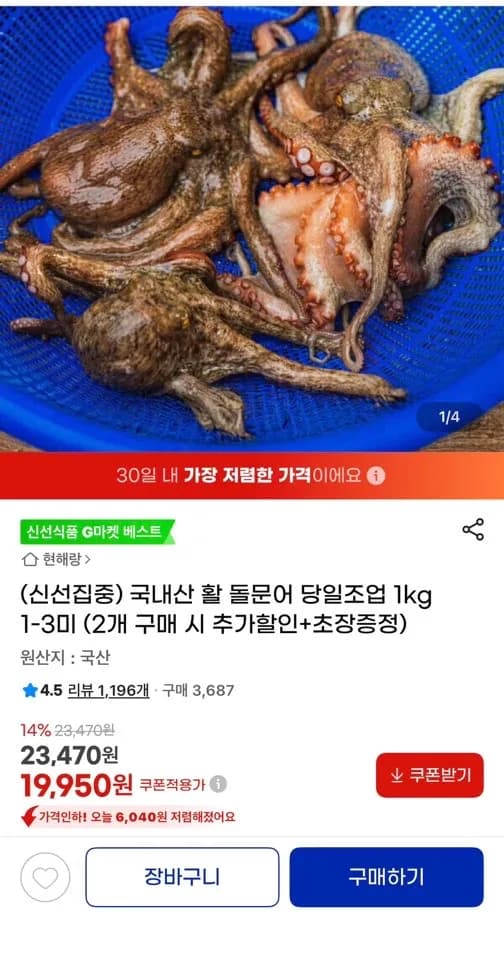 국내산 활 돌문어 당일조업 1kg 1-3미
