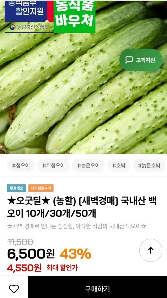 국내산 백오이 10개
