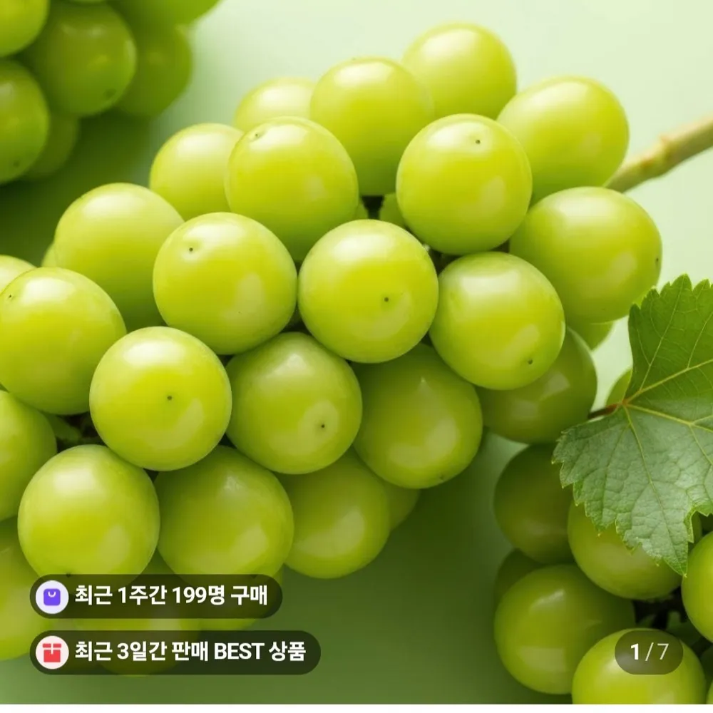 샤인머스켓 2kg 4수