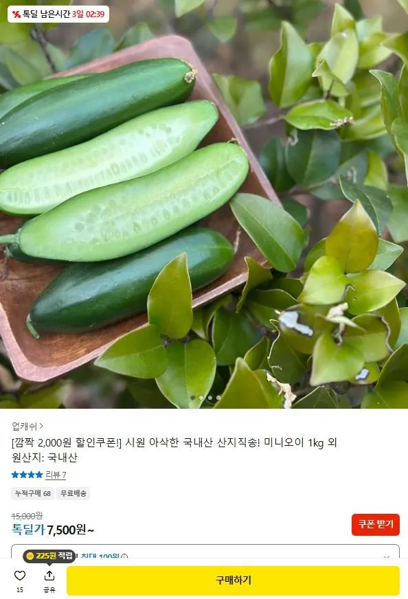 미니오이 특품 1kg