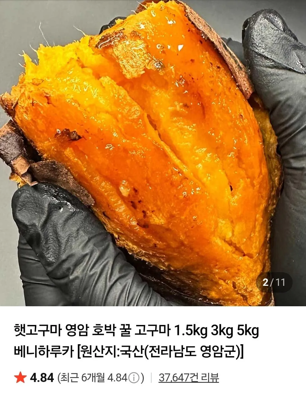 영암 햇 호박/밤고구마 1.5kg 특상