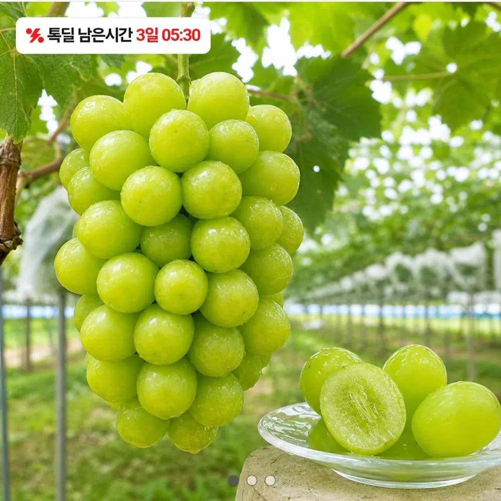 국내산 샤인머스켓 2kg 3수
