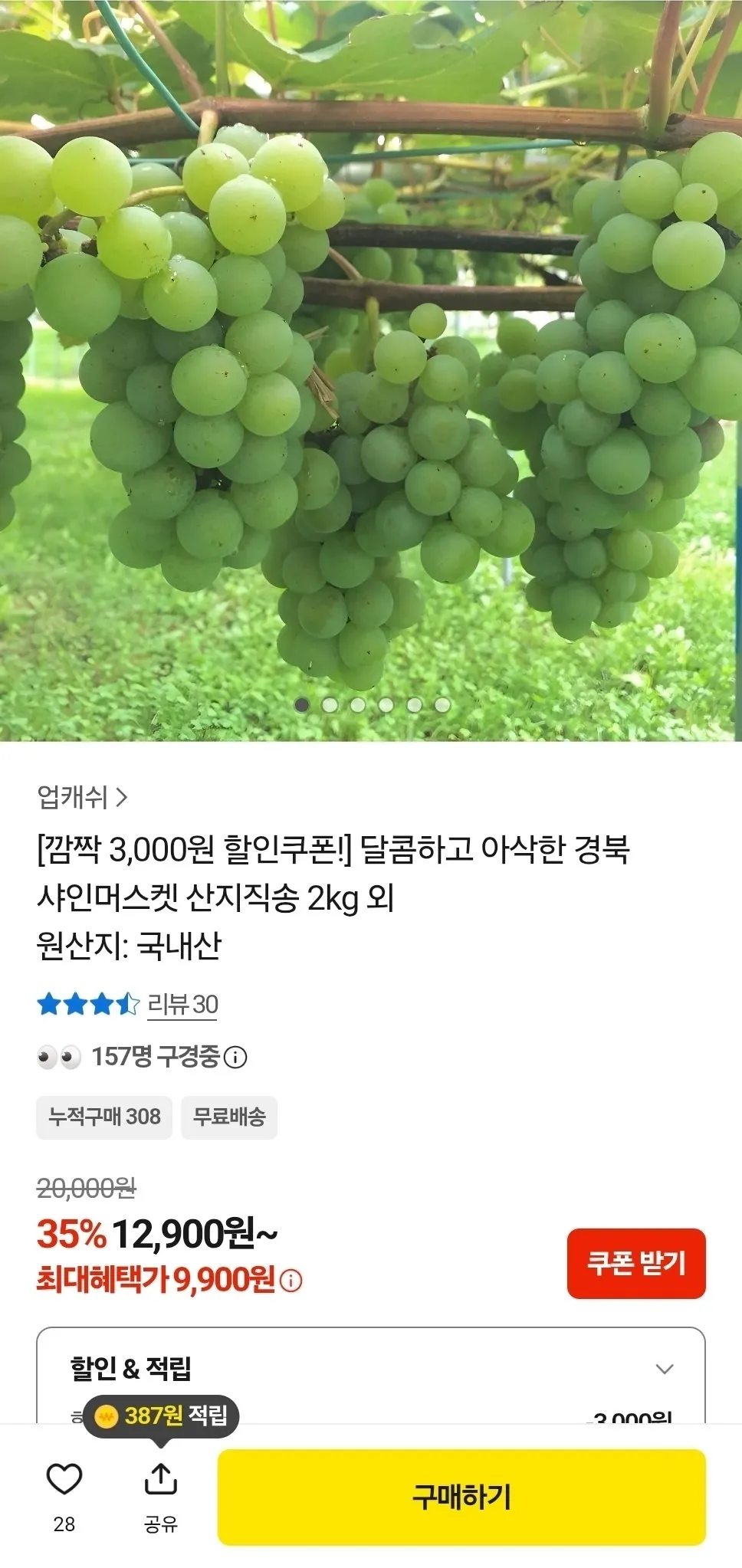경북 산지직송 샤인머스켓 2kg