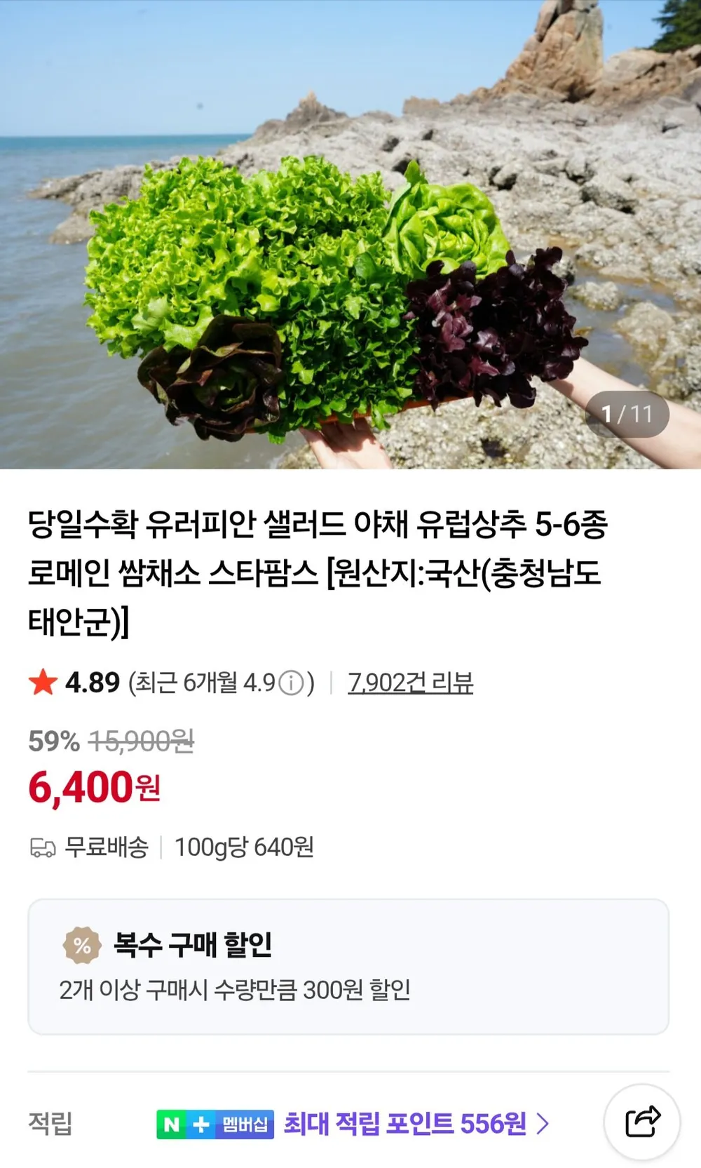 유러피안 샐러드 채소 5종~6종 1kg