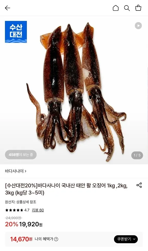 국내산 태안 활 오징어 1kg 3-5미