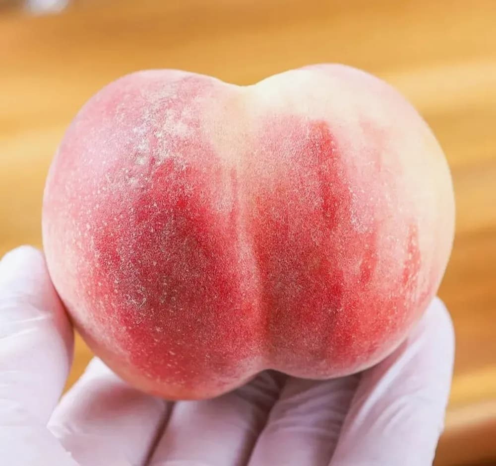 농협 대극천 복숭아 1kg