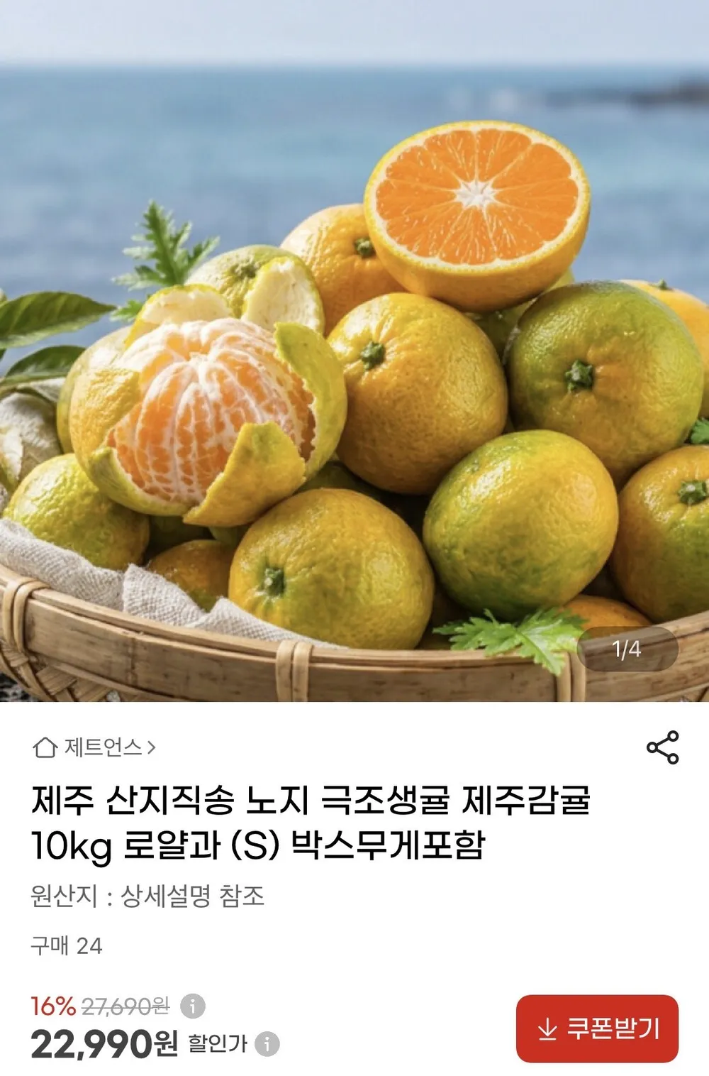 제주 극조생귤 10kg 로얄과