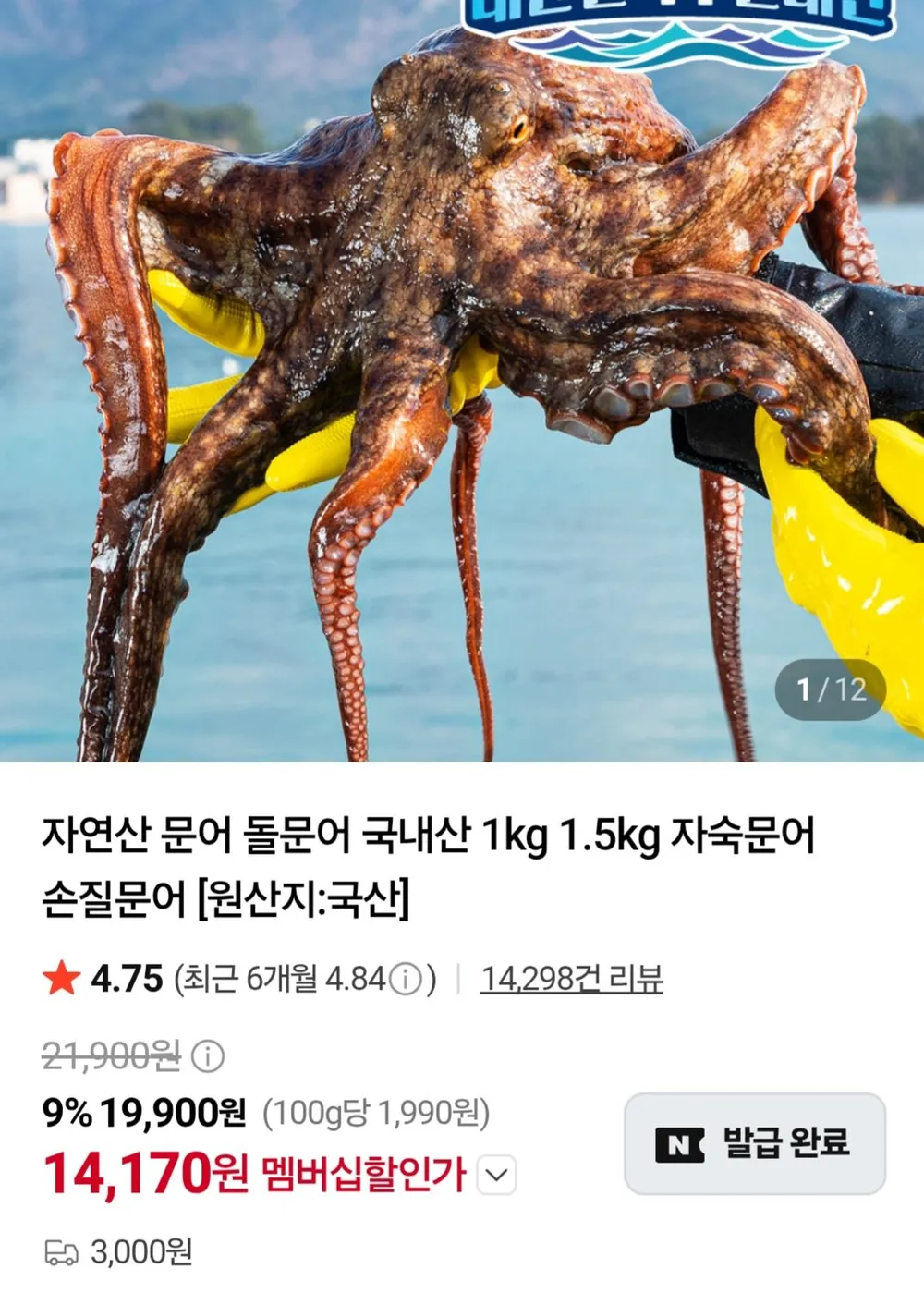 자연산 돌문어 1kg