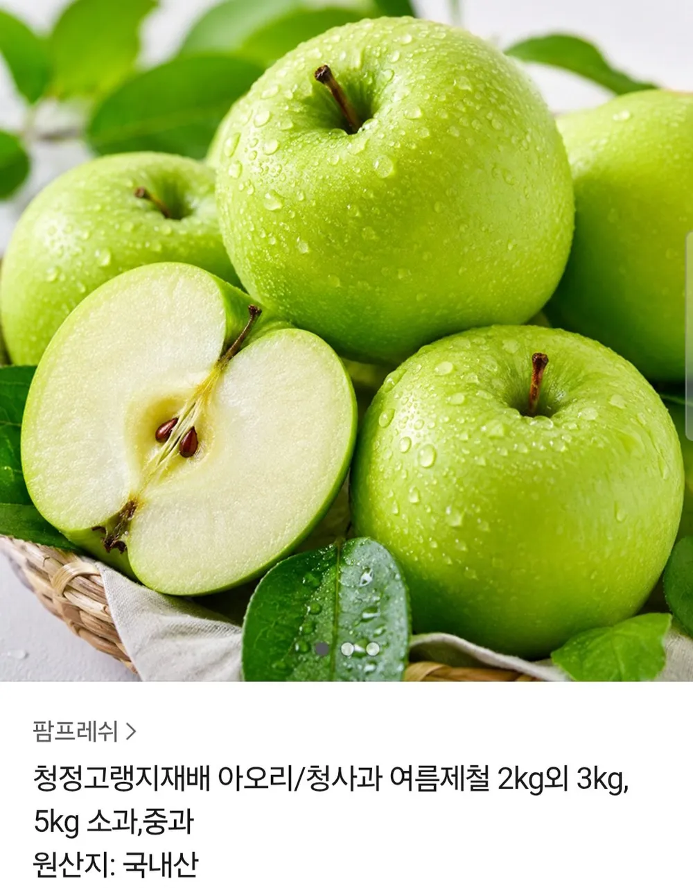 청정고랭지재배 아오리 청사과 2kg