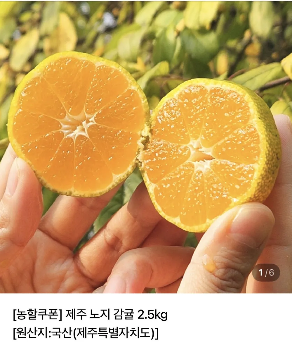 제주 노지 감귤 4.5kg 로얄과