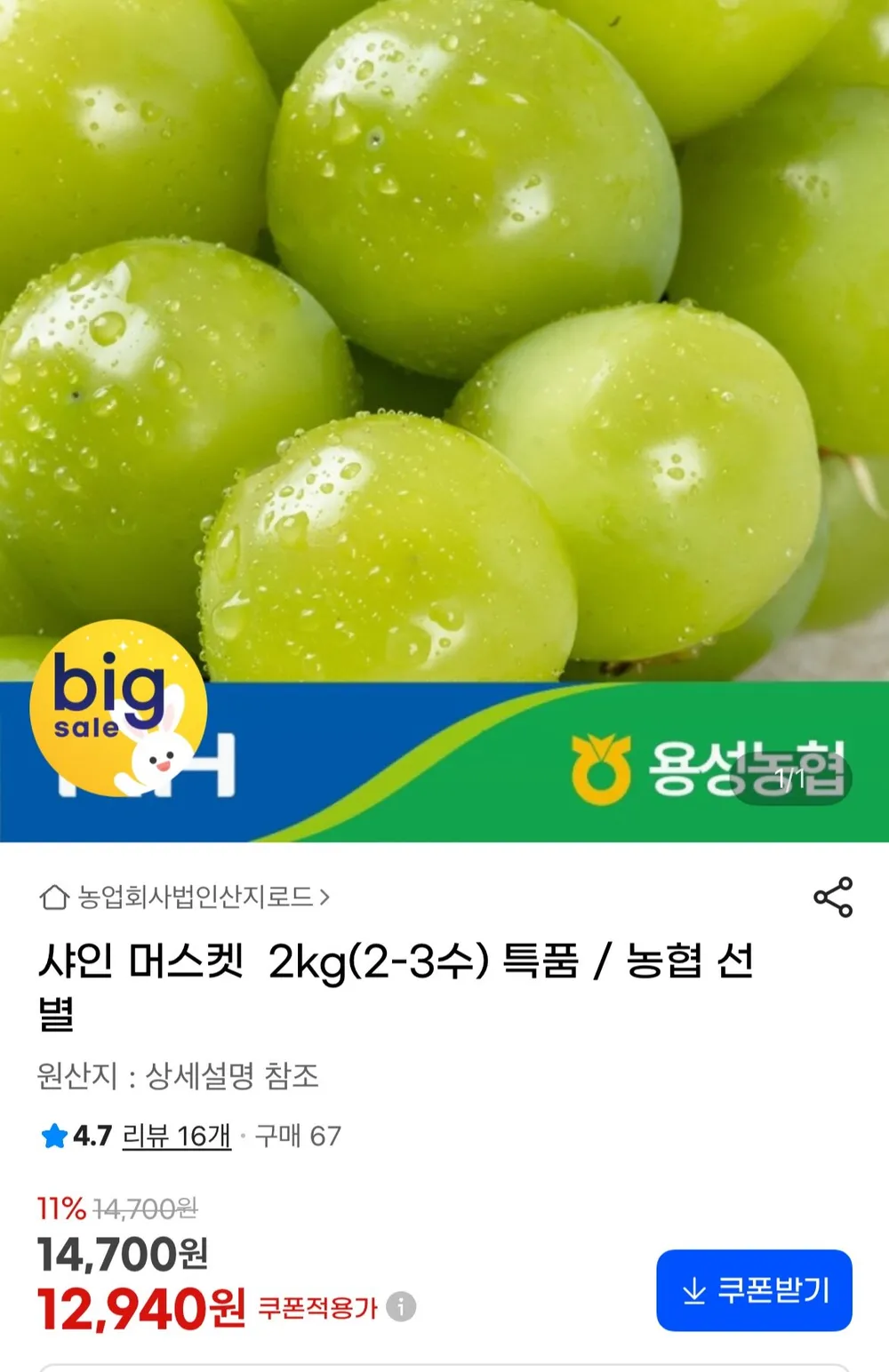 샤인 머스켓 2kg 특품