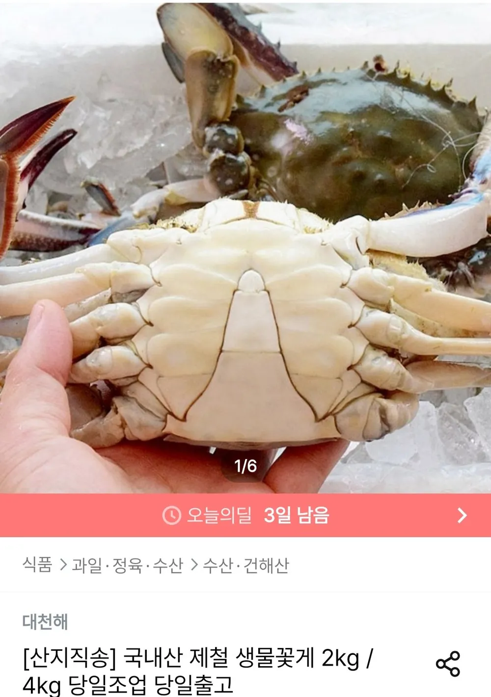 국내산 제철 생물꽃게 2kg 7-10미