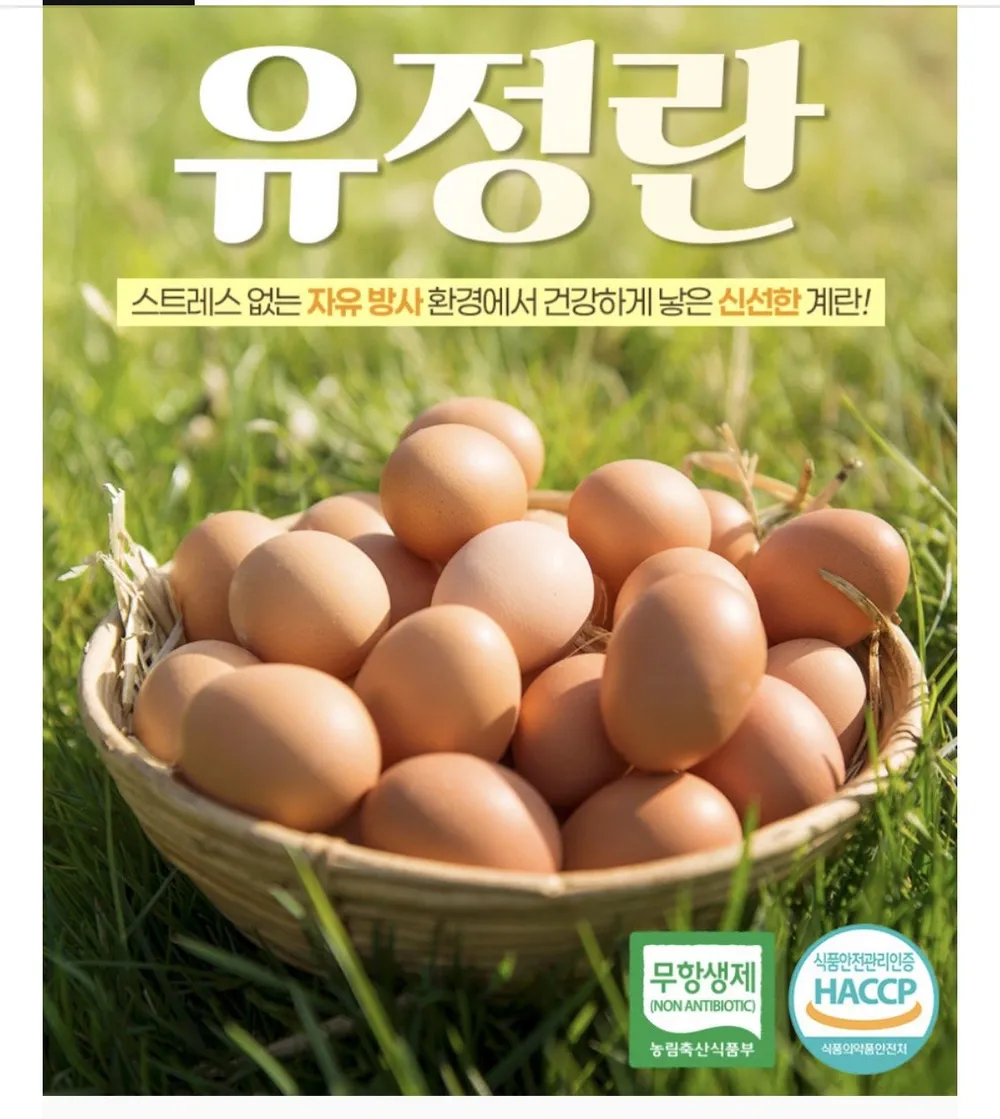 푸페선착 난각번호1번 유정란 20구 x 2판