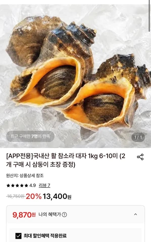 국내산 활 참소라 대자 1kg 6-10미