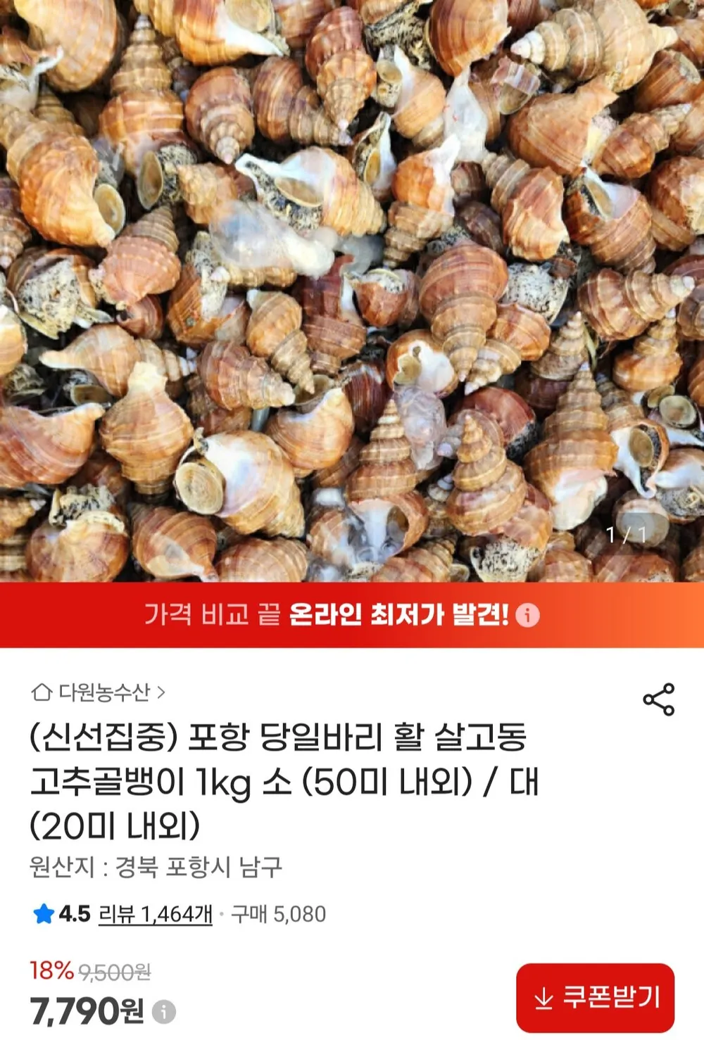 활 살고동 1kg 소/대