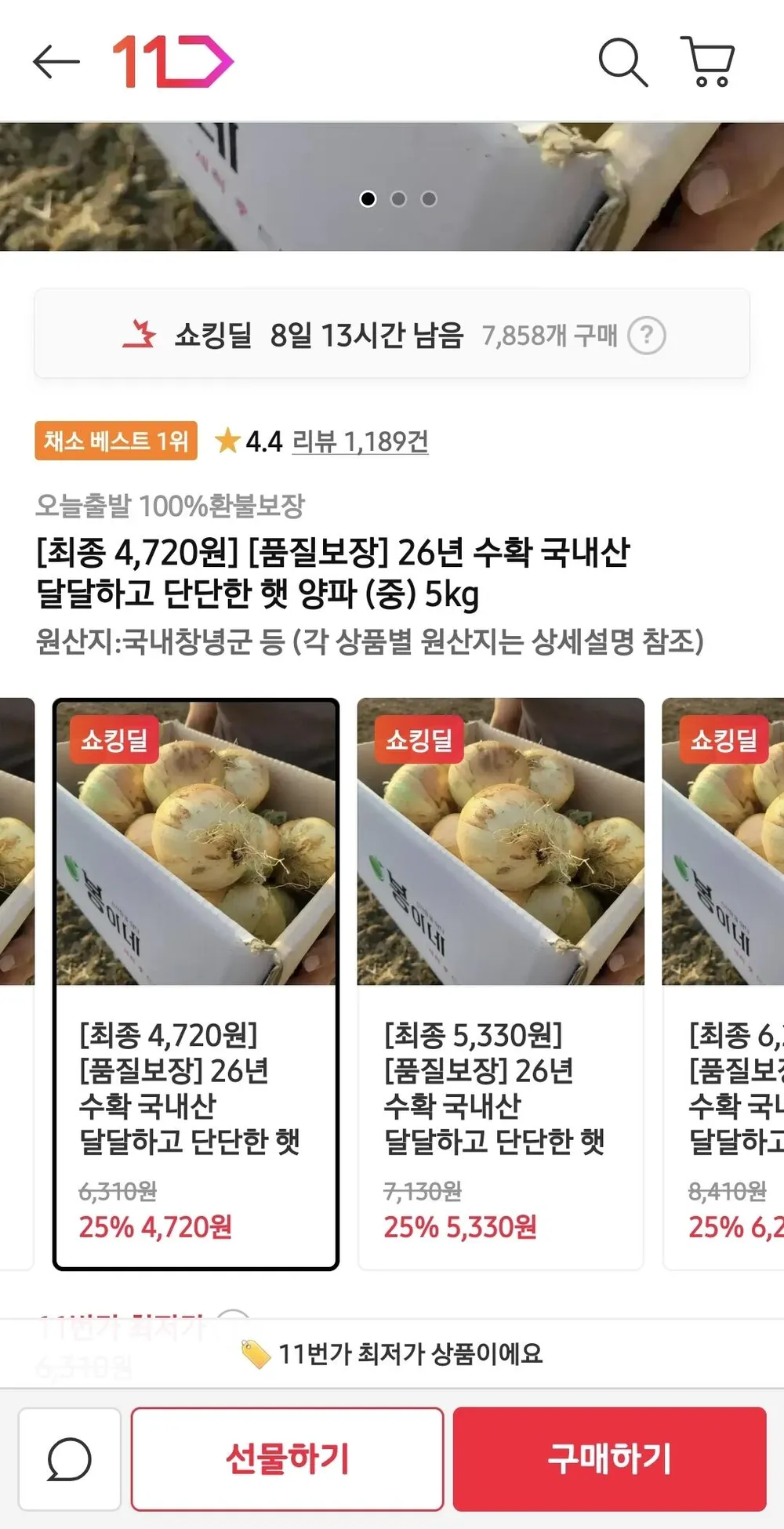 국내산 햇양파 중 5kg
