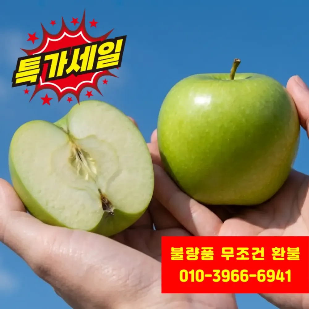 아오리 사과 2kg 중대과