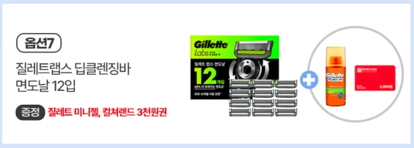 질레트랩스 면도날12입