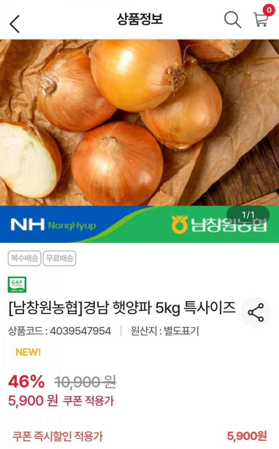 경남 햇양파 5kg 특사이즈
