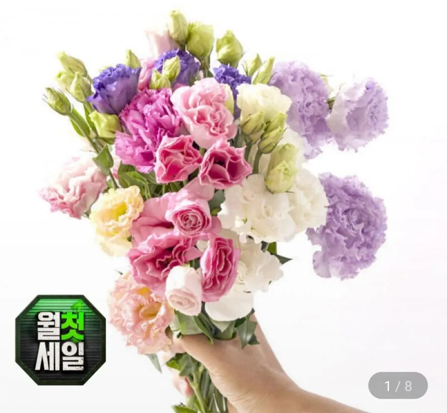 리시안셔스 생화 반단