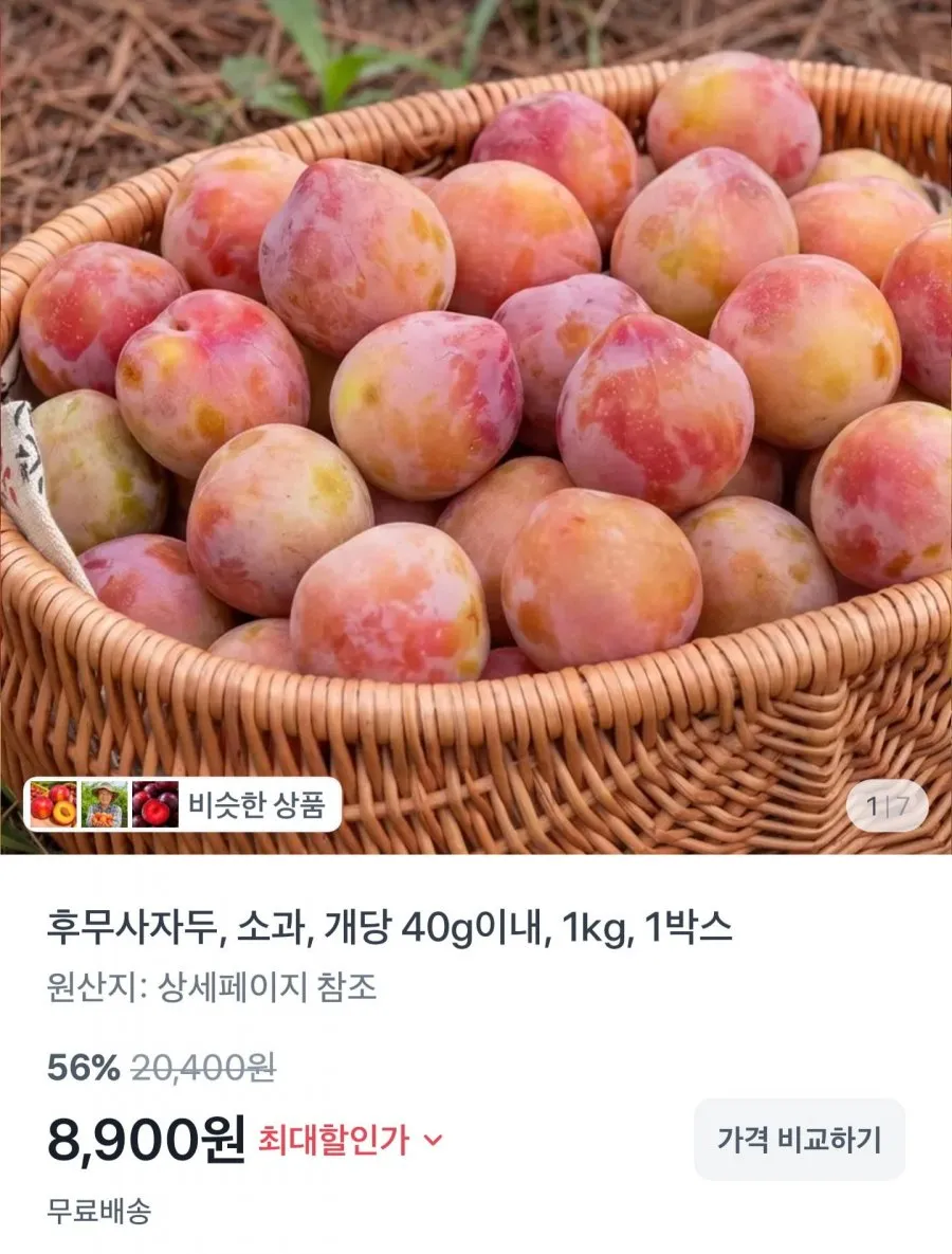 후무사 자두 1kg