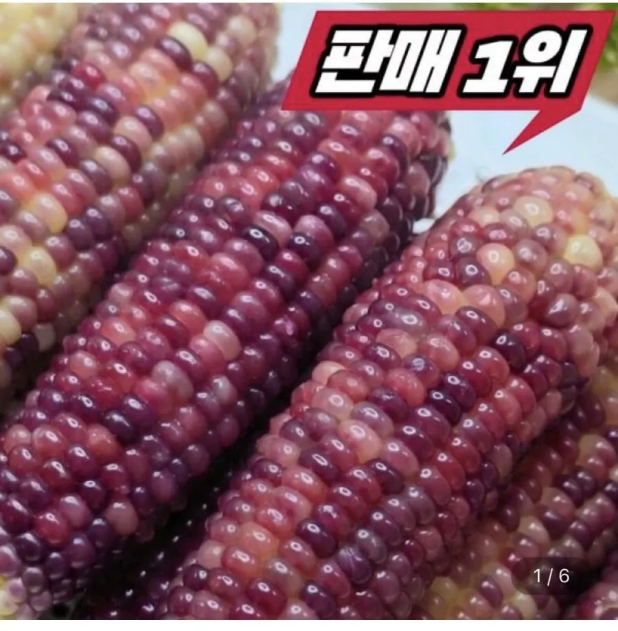 흑찰옥수수 특 24cm 이상 30개입