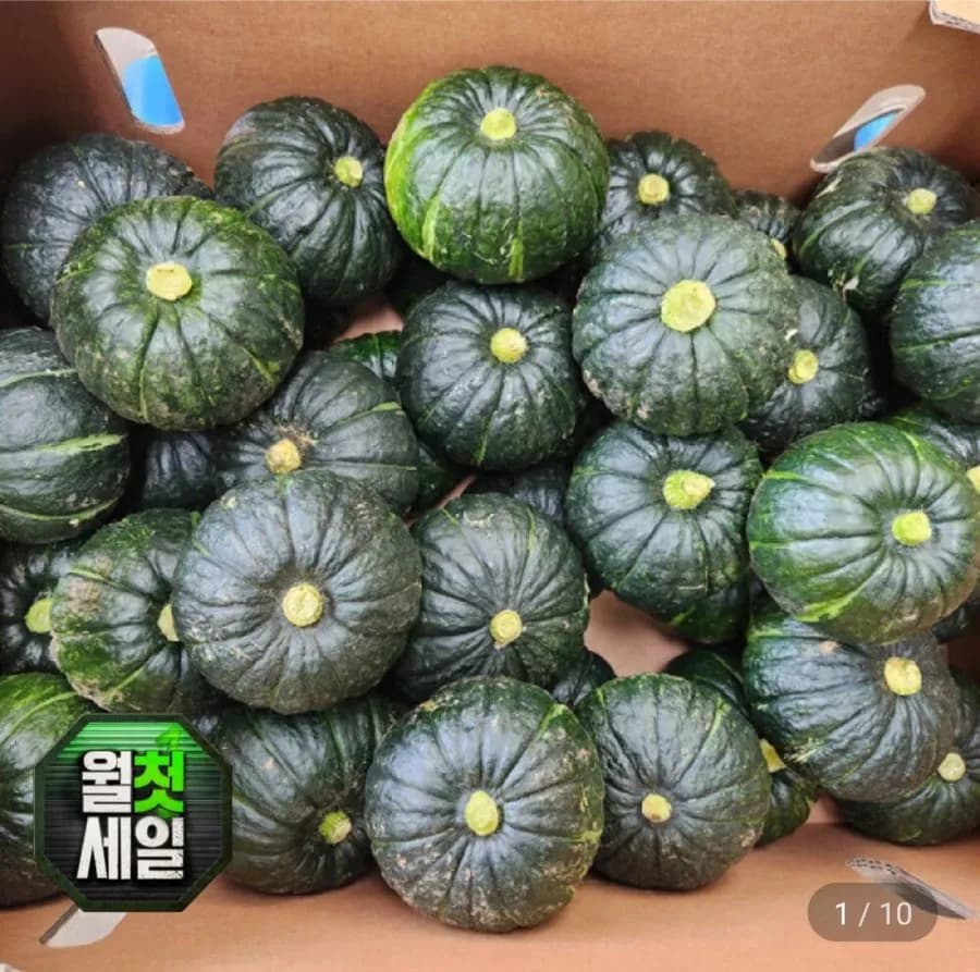 제주 미니 밤호박 못난이 10kg