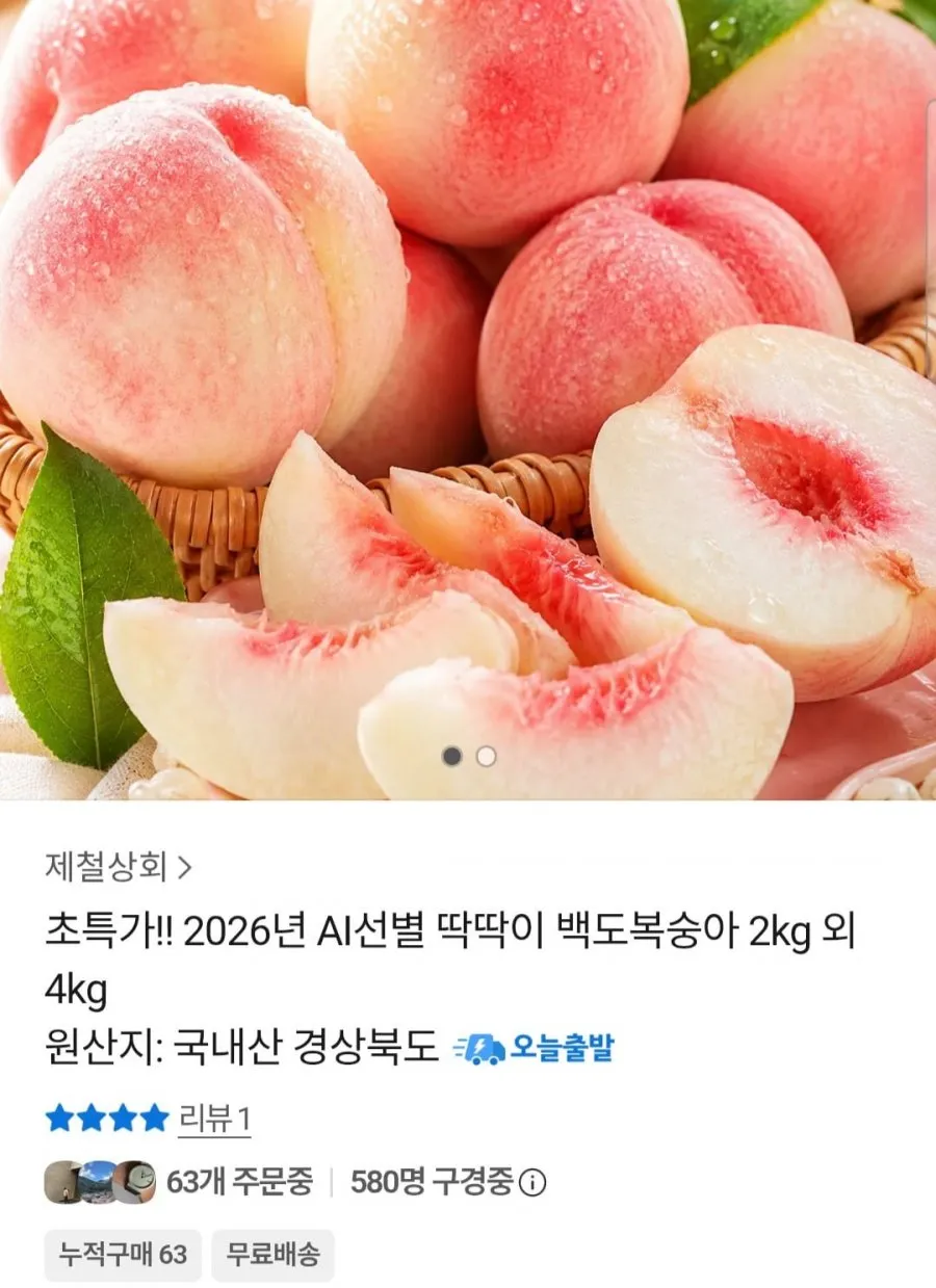 2026 딱딱이 백도복숭아 2kg 외