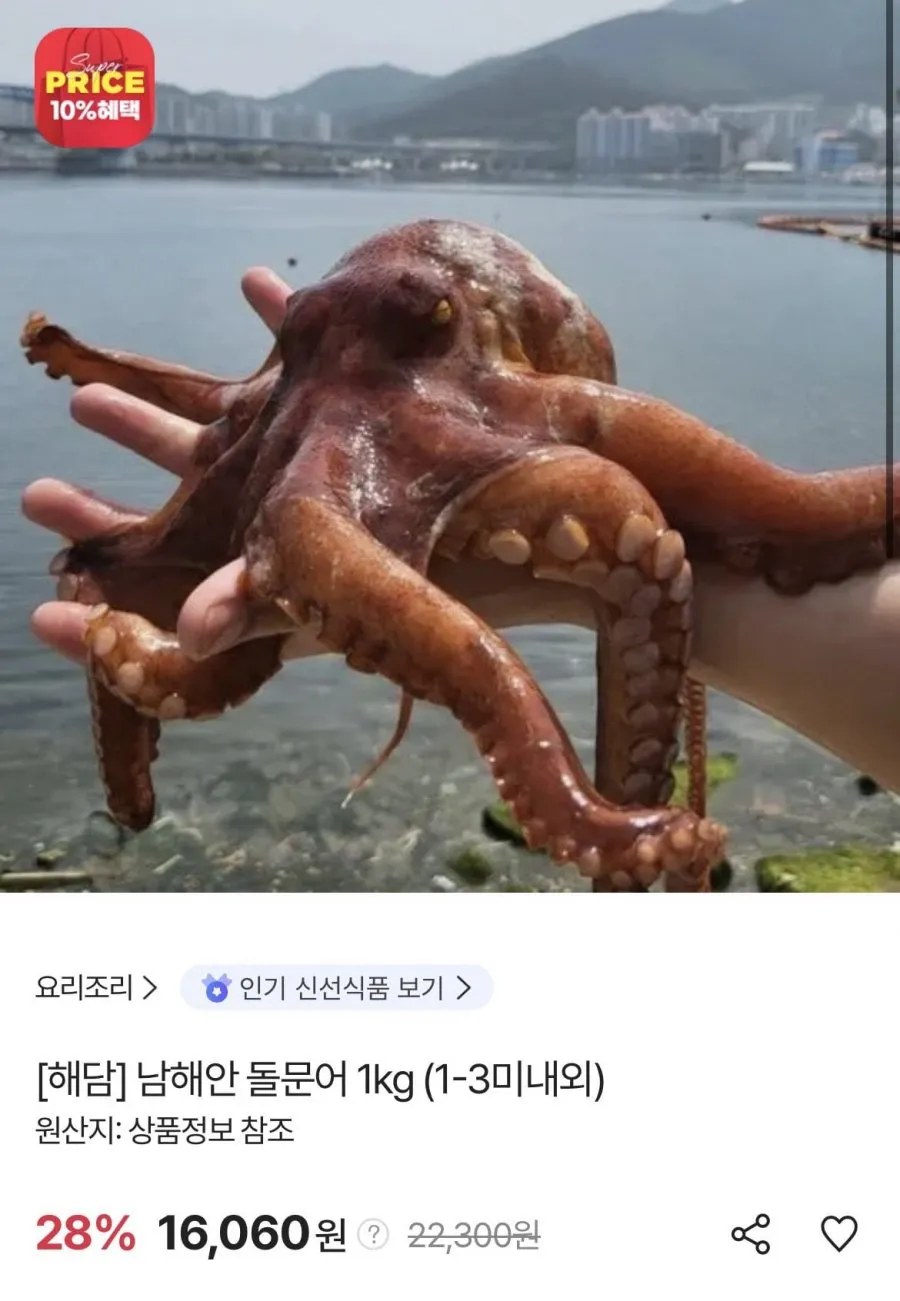 남해안 돌문어 1kg (1-3미내외)