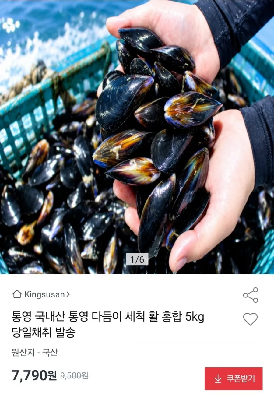 통영 다듬이 세척 활 홍합 5kg