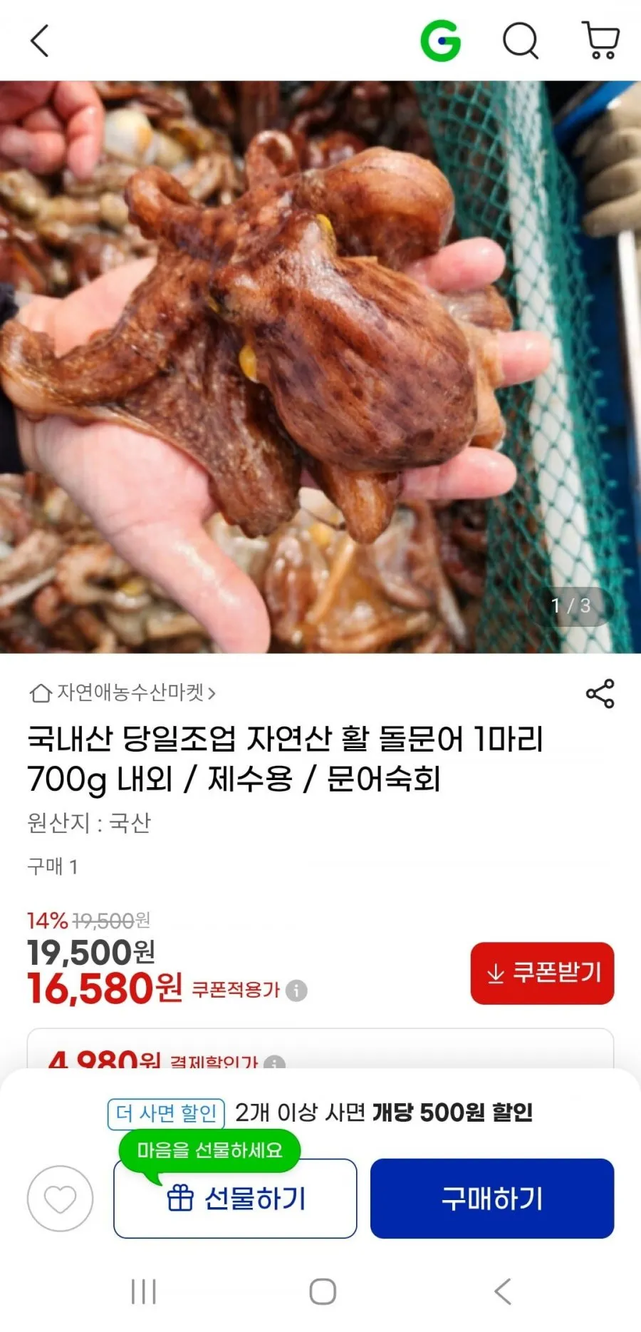 자연산 활 돌문어 1마리 700g 고정