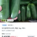 미니오이 특품 1kg