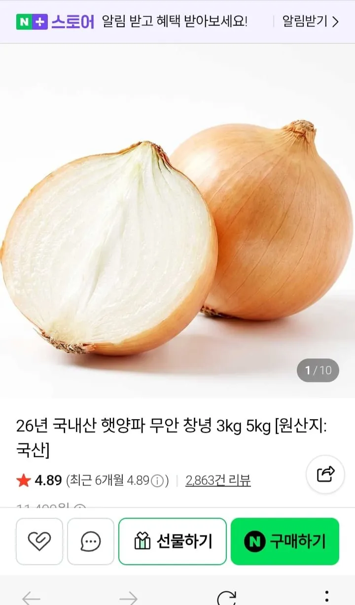 26년 국내산 햇양파 1.5kg 대 [ 1,490원 / 네멤무배 ]