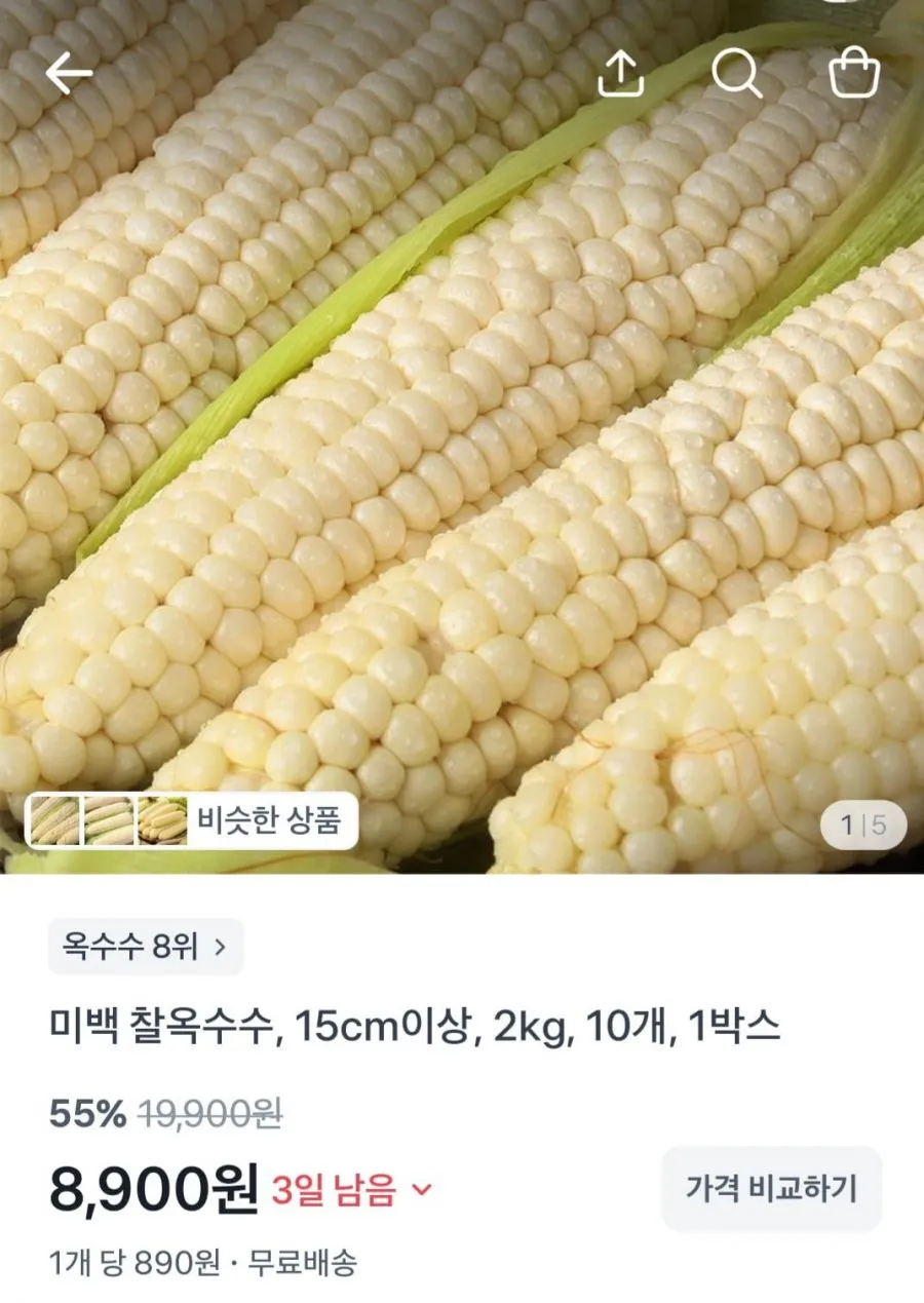 햇 미백 찰옥수수, 15cm이상, 2kg, 10개