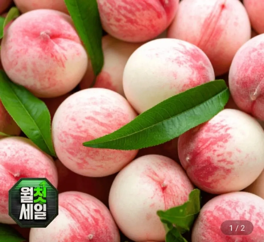 백도복숭아 4kg 중소과
