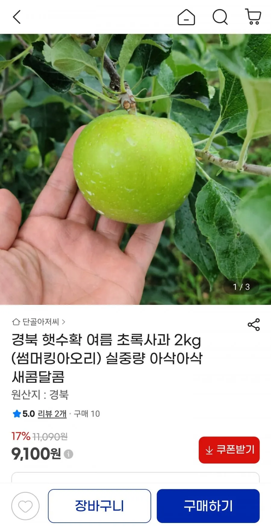 경북 햇수확 썸머킹아오리 2kg