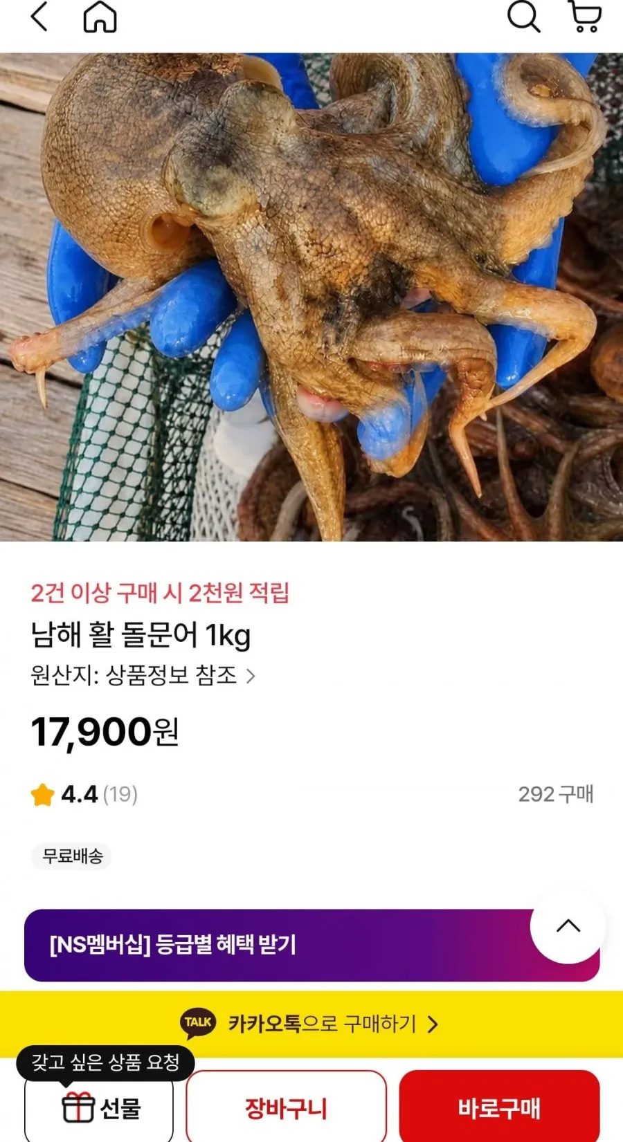 남해 활 돌문어 1kg