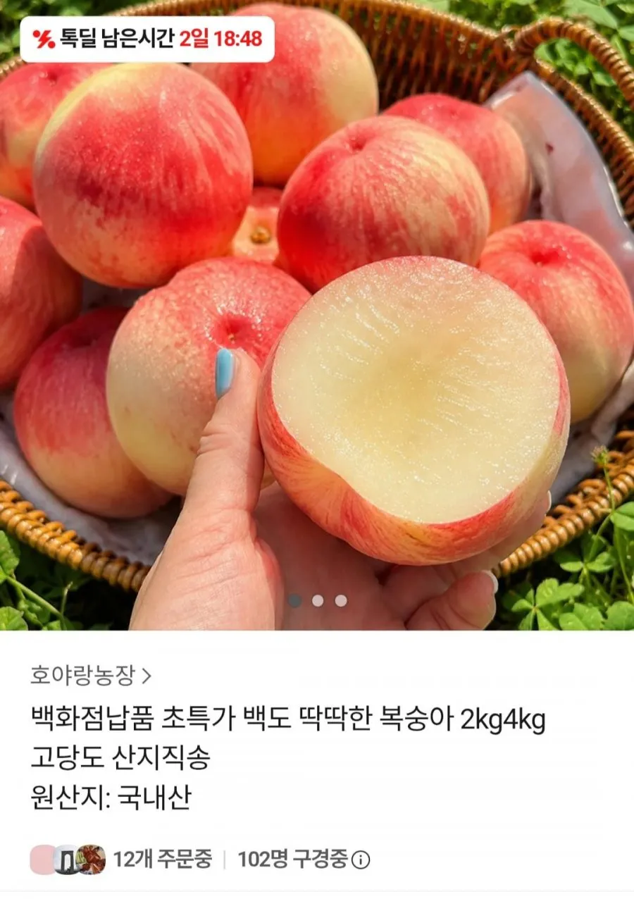 백도 딱딱이 복숭아 2kg
