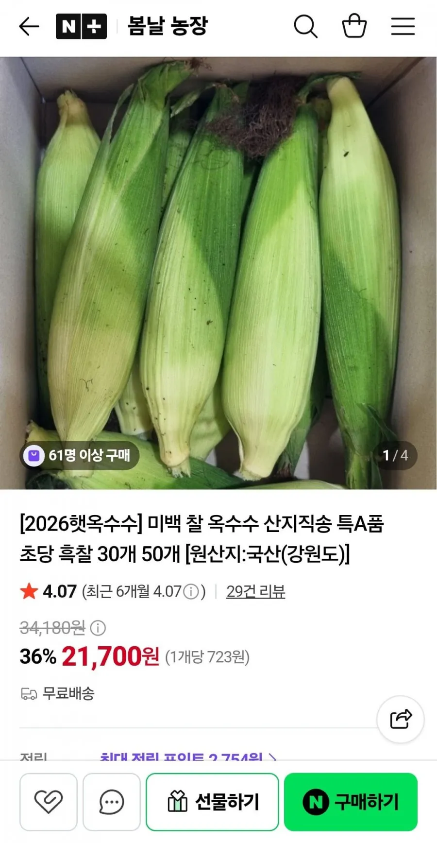 미백 찰 옥수수 산지직송 30개