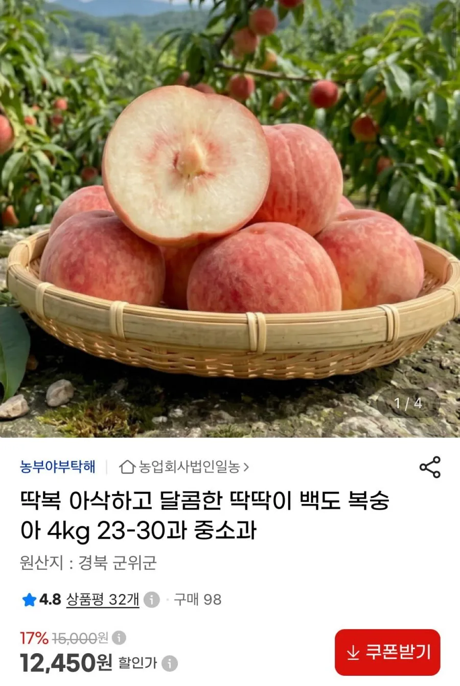 당일수확 딱딱이 백도 복숭아 4kg 23-30과 중소과