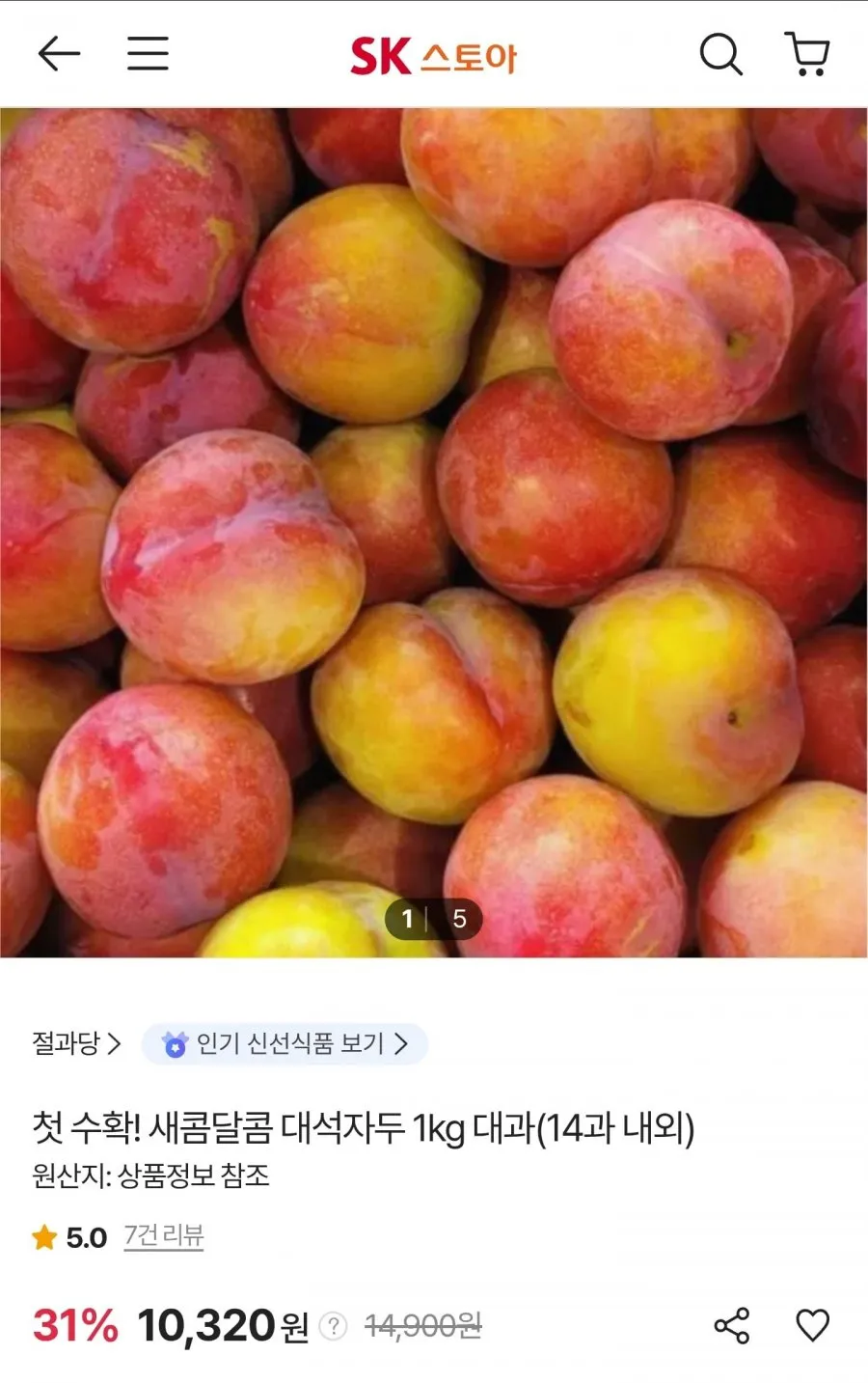 첫수확 대석자두 1kg 대과 (14과내외)