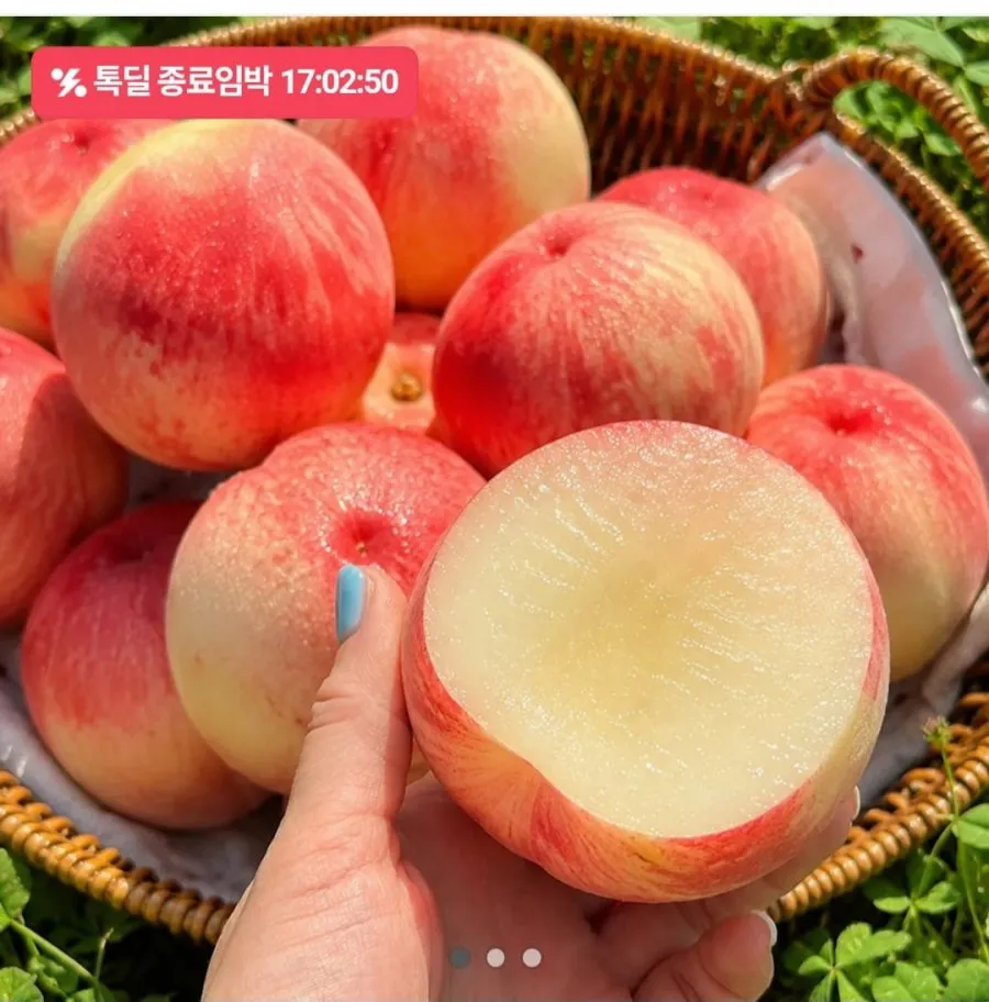 딱딱이 백도 복숭아 2kg